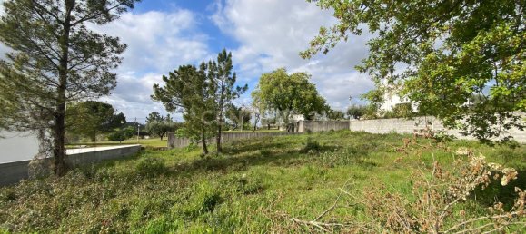  Land in Pombal, Portugal No. 83754 12