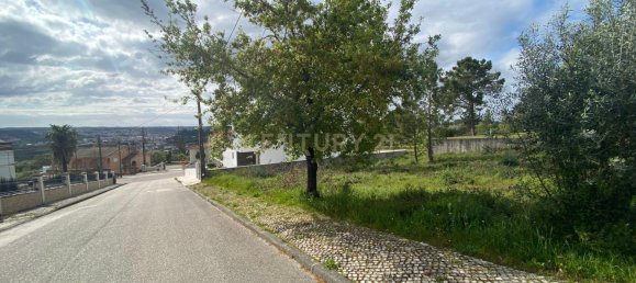  Land in Pombal, Portugal No. 83754 20