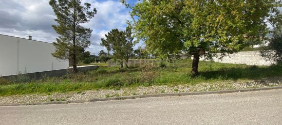  Land in Pombal, Portugal No. 83754 19