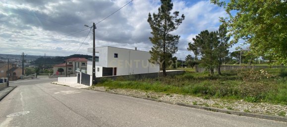  Land in Pombal, Portugal No. 83754 14