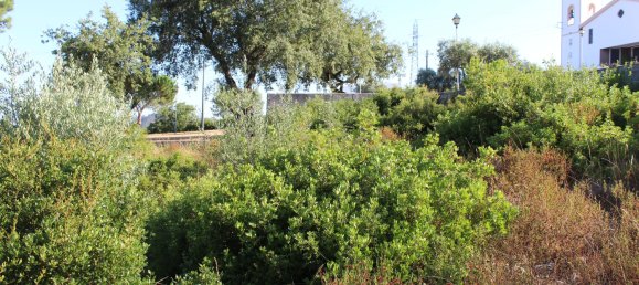  Land in Pombal, Portugal No. 83754 21