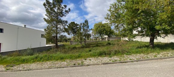  Land in Pombal, Portugal No. 83754 18