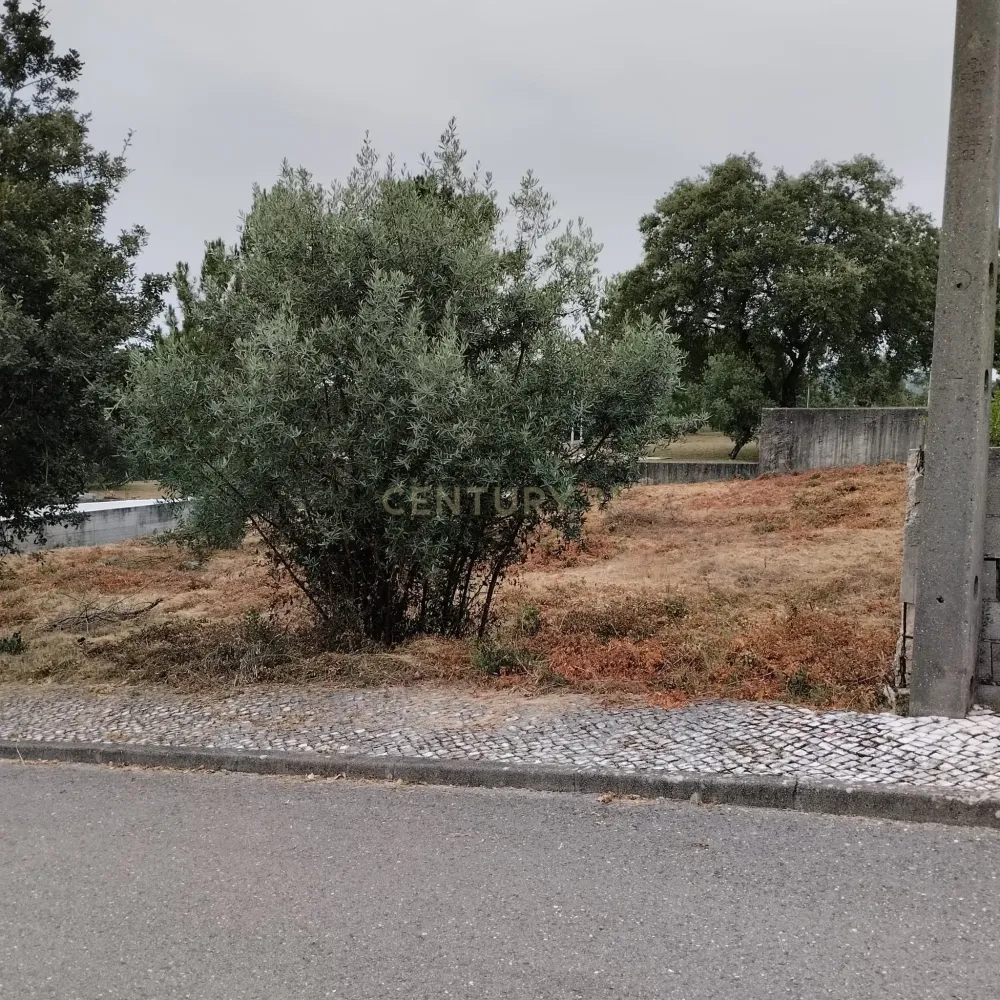  Land in Pombal, Portugal No. 83754