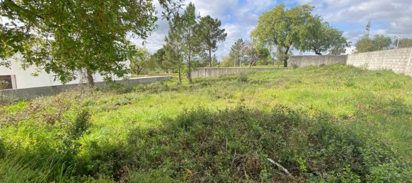  Land in Pombal, Portugal No. 83754 10