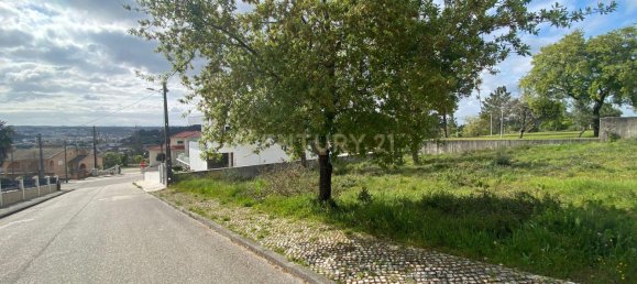  Land in Pombal, Portugal No. 83754 15