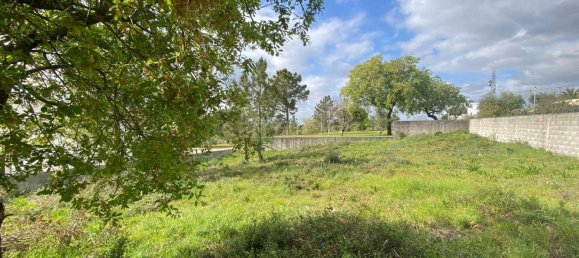  Land in Pombal, Portugal No. 83754 9