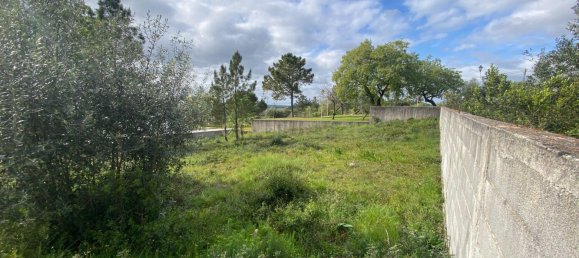  Land in Pombal, Portugal No. 83754 8