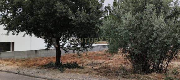  Land in Pombal, Portugal No. 83754 2