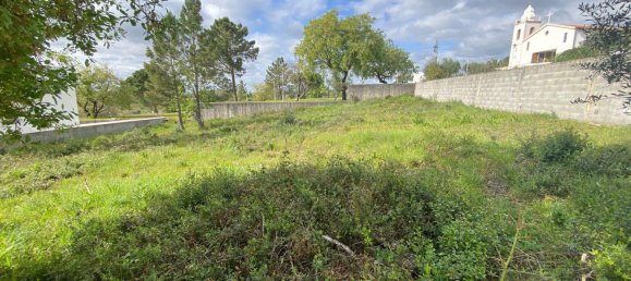  Land in Pombal, Portugal No. 83754 5