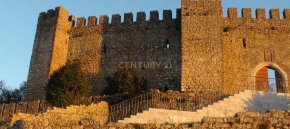  Land in Pombal, Portugal No. 83754 24