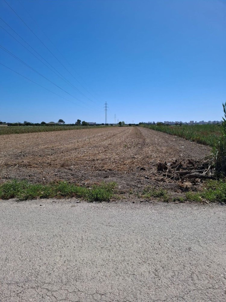  Land in Guardamar del Segura, Spain No. 201485