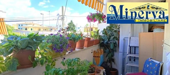 2 غرف نوم شقة في Nettuno, Italy رقم 305770 7