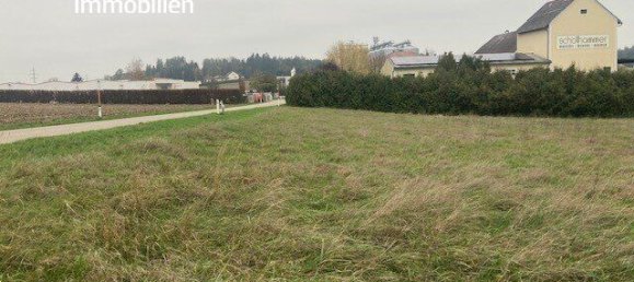 Terrain à Haag, Austria No. 135165 2