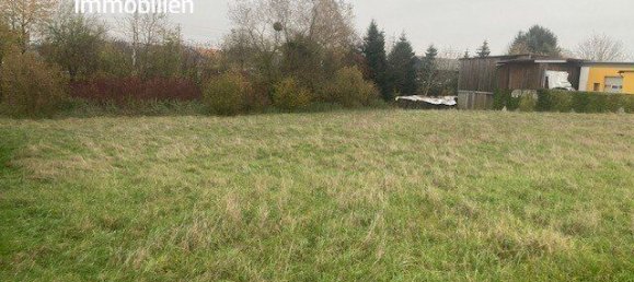 Terrain à Haag, Austria No. 135165 4