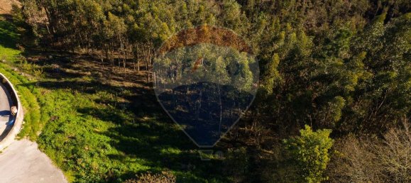 Terrain à Agueda, Portugal 3080m² No. 73867 13