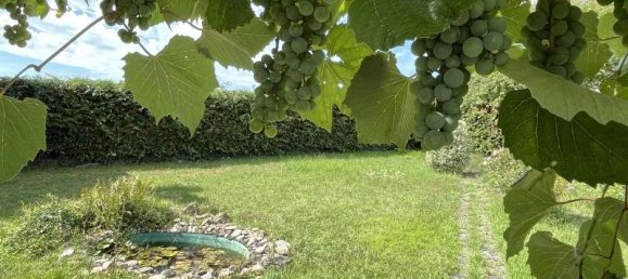 3 غرف نوم منزل في Rhein-Neckar-Kreis, Germany رقم 323518 29