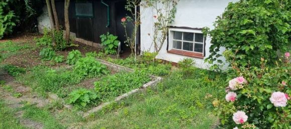 3 غرف نوم منزل في Rhein-Neckar-Kreis, Germany رقم 323518 40