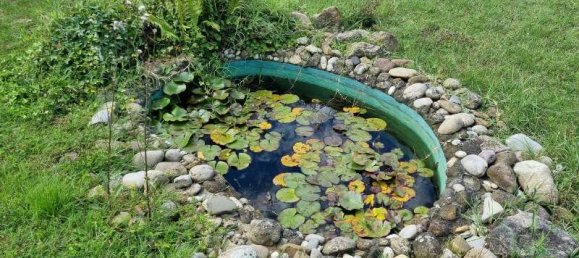 3 غرف نوم منزل في Rhein-Neckar-Kreis, Germany رقم 323518 41