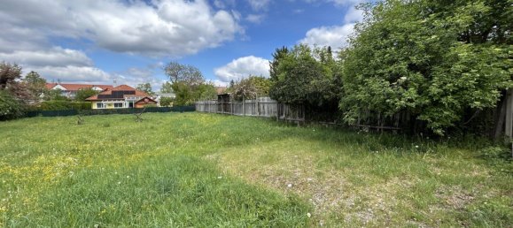  Land in Neunkirchen, Austria No. 41174 16