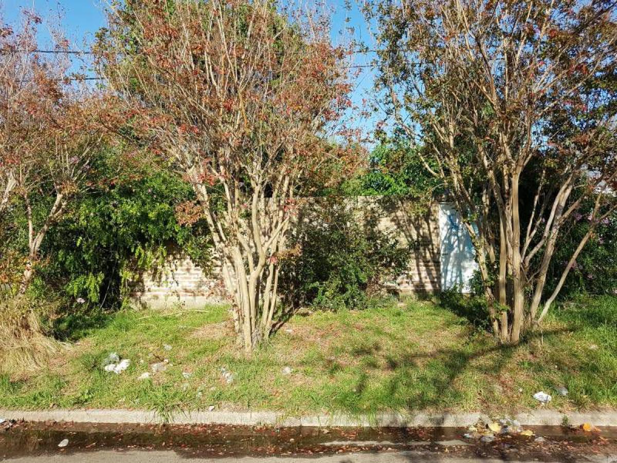  Land in Campo Creado, Argentina No. 50575