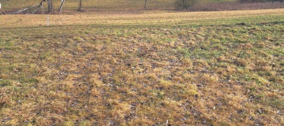 Terreno en Aistersheim, Austria No. 127934 7