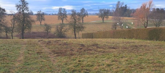 Terreno en Aistersheim, Austria No. 127934 10