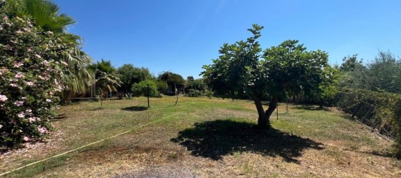 4 rooms House in Santa Maria del Cedro, Italy No. 281206 50