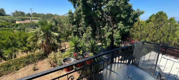 4 rooms House in Santa Maria del Cedro, Italy No. 281206 40