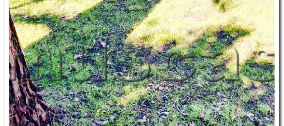 4غرفة شقة في Fiumicino, Italy رقم 66225 4