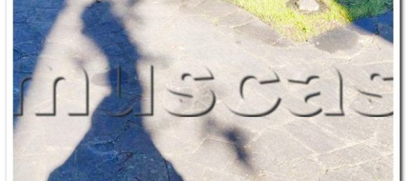 4غرفة شقة في Fiumicino, Italy رقم 66225 12