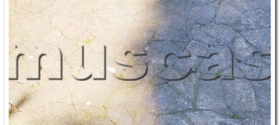 4غرفة شقة في Fiumicino, Italy رقم 66225 13