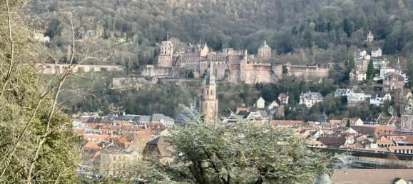 Villa de 4 dormitorios en Heidelberg, Germany No. 44197 14