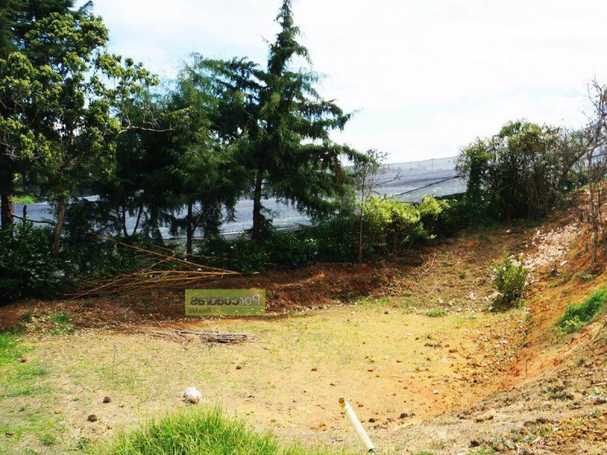  Land in Antioquia, Colombia No. 632