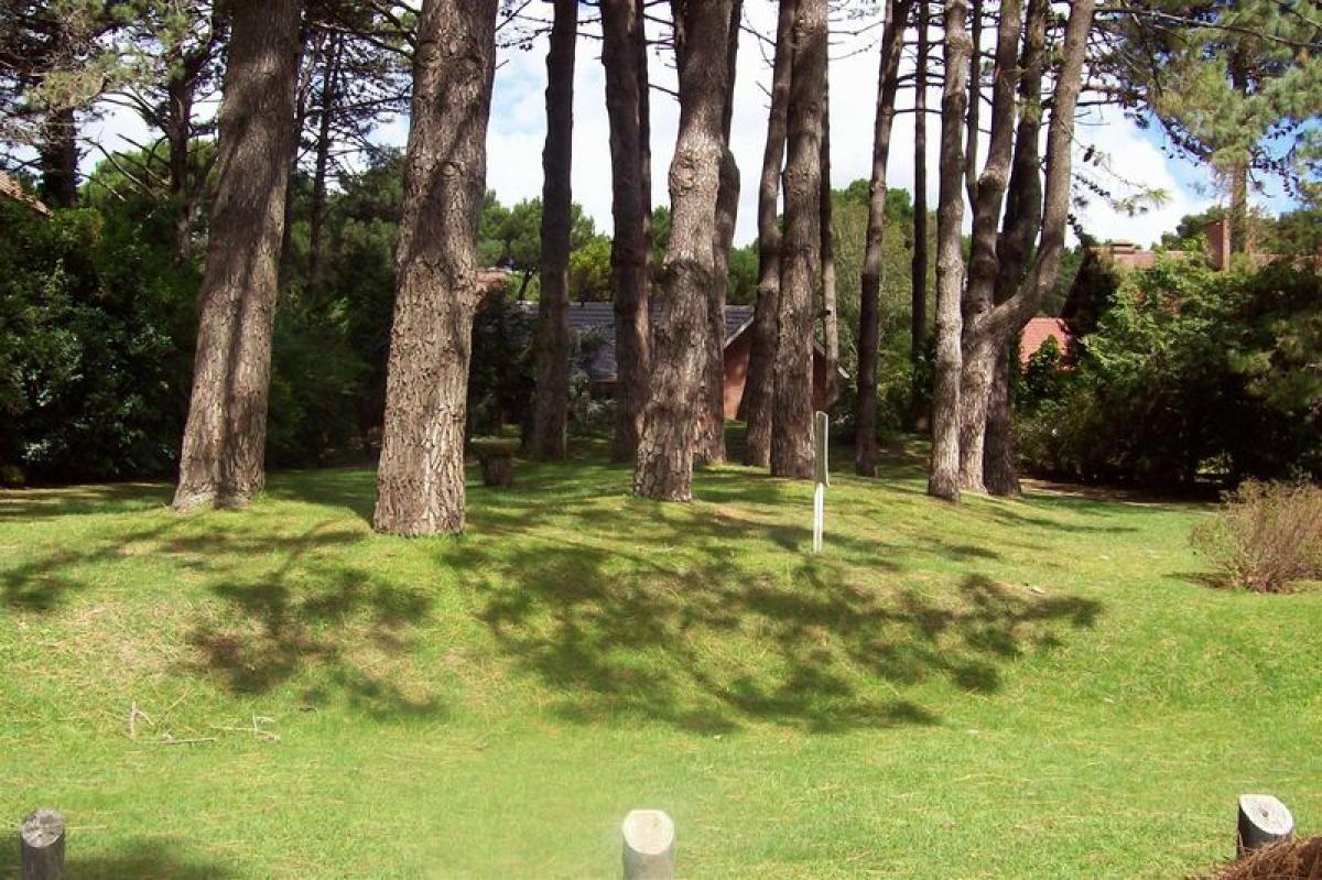  قطعة أرض في Mar del Plata, Argentina رقم 120423