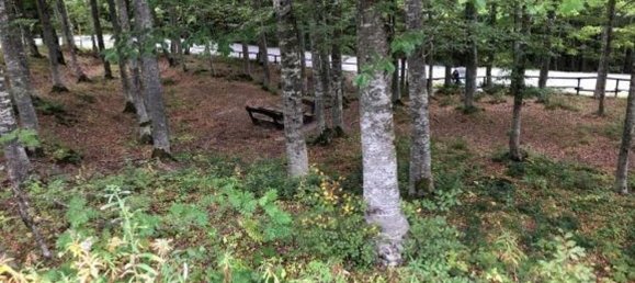 3غرفة شقة في Abetone Cutigliano, Italy رقم 80061 3