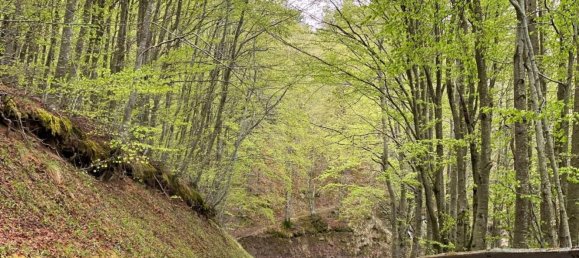 3غرفة شقة في Abetone Cutigliano, Italy رقم 80061 21