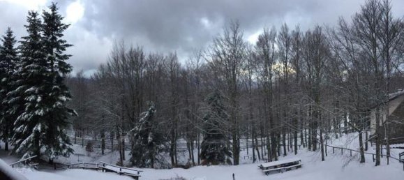 3غرفة شقة في Abetone Cutigliano, Italy رقم 80061 5