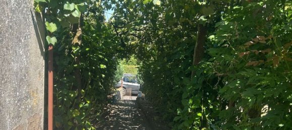 4 Schlafzimmer Haus in Vila Nova de Gaia, Portugal, Nr. 18046 12