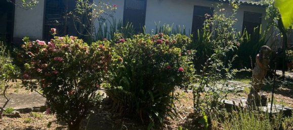 4 Schlafzimmer Haus in Vila Nova de Gaia, Portugal, Nr. 18046 14