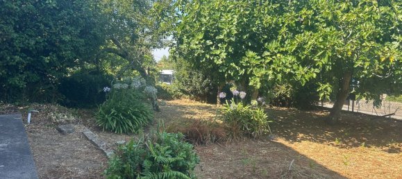 4 Schlafzimmer Haus in Vila Nova de Gaia, Portugal, Nr. 18046 3