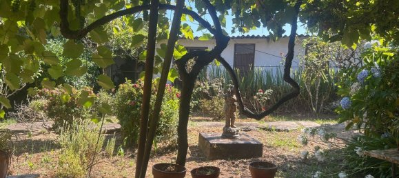 4 Schlafzimmer Haus in Vila Nova de Gaia, Portugal, Nr. 18046 13