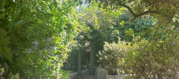 4 Schlafzimmer Haus in Vila Nova de Gaia, Portugal, Nr. 18046 9