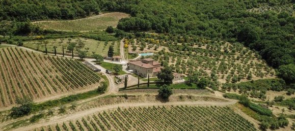 Gebäude in Castellina in Chianti, Italy 4431m², Nr. 328497 5