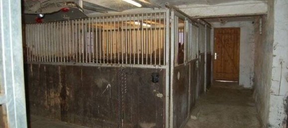 6-salle Ferme à Hochsauerlandkreis, Germany No. 63570 21