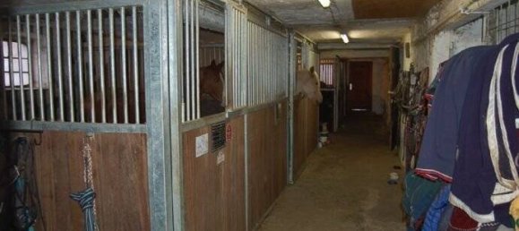 6-salle Ferme à Hochsauerlandkreis, Germany No. 63570 20