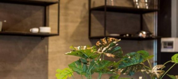 10 bedrooms Hotel in Rawai, Thailand No. 14554 4