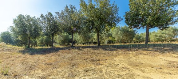 12غرفة فيلا في Montalto di Castro, Italy رقم 297090 7