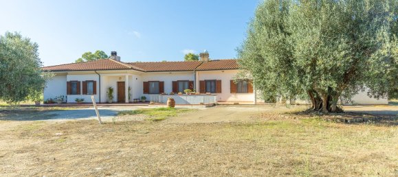 12غرفة فيلا في Montalto di Castro, Italy رقم 297090 17