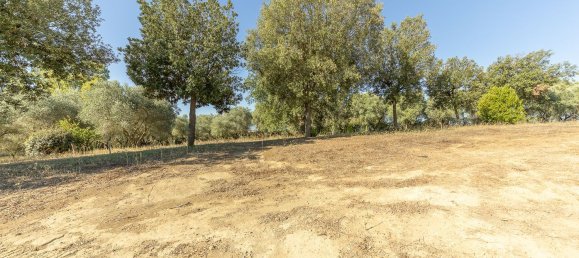 12غرفة فيلا في Montalto di Castro, Italy رقم 297090 8