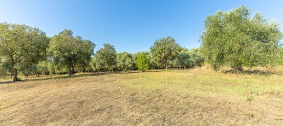 12غرفة فيلا في Montalto di Castro, Italy رقم 297090 10